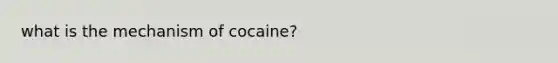 what is the mechanism of cocaine?