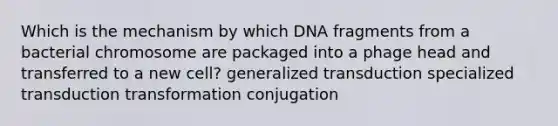 Which is the mechanism by which DNA fragments from a bacterial chromosome are packaged into a phage head and transferred to a new cell? generalized transduction specialized transduction transformation conjugation