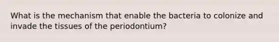 What is the mechanism that enable the bacteria to colonize and invade the tissues of the periodontium?