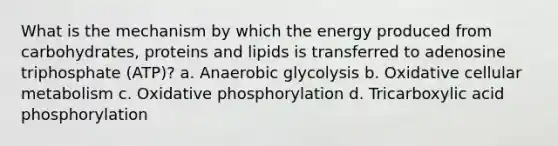 What is the mechanism by which the energy produced from carbohydrates, proteins and lipids is transferred to adenosine triphosphate (ATP)? a. Anaerobic glycolysis b. Oxidative cellular metabolism c. Oxidative phosphorylation d. Tricarboxylic acid phosphorylation