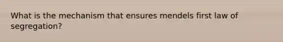 What is the mechanism that ensures mendels first law of segregation?