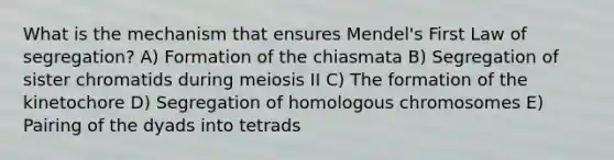 What is the mechanism that ensures Mendel's First Law of segregation? A) Formation of the chiasmata B) Segregation of sister chromatids during meiosis II C) The formation of the kinetochore D) Segregation of homologous chromosomes E) Pairing of the dyads into tetrads