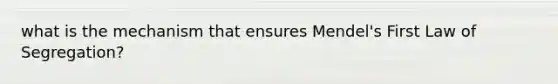 what is the mechanism that ensures Mendel's First Law of Segregation?
