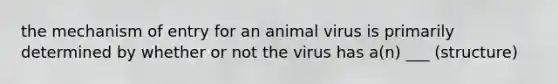 the mechanism of entry for an animal virus is primarily determined by whether or not the virus has a(n) ___ (structure)