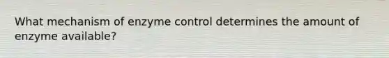 What mechanism of enzyme control determines the amount of enzyme available?