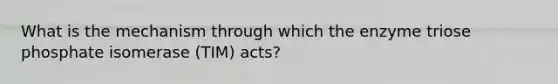 What is the mechanism through which the enzyme triose phosphate isomerase (TIM) acts?