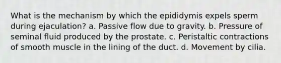 What is the mechanism by which the epididymis expels sperm during ejaculation? a. Passive flow due to gravity. b. Pressure of seminal fluid produced by the prostate. c. Peristaltic contractions of smooth muscle in the lining of the duct. d. Movement by cilia.