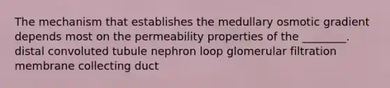 The mechanism that establishes the medullary osmotic gradient depends most on the permeability properties of the ________. distal convoluted tubule nephron loop glomerular filtration membrane collecting duct