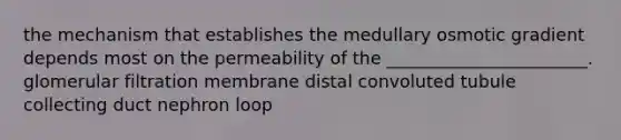 the mechanism that establishes the medullary osmotic gradient depends most on the permeability of the _______________________. glomerular filtration membrane distal convoluted tubule collecting duct nephron loop