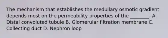 The mechanism that establishes the medullary osmotic gradient depends most on the permeability properties of the ________. A. Distal convoluted tubule B. Glomerular filtration membrane C. Collecting duct D. Nephron loop