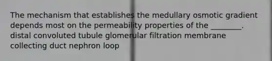 The mechanism that establishes the medullary osmotic gradient depends most on the permeability properties of the ________. distal convoluted tubule glomerular filtration membrane collecting duct nephron loop