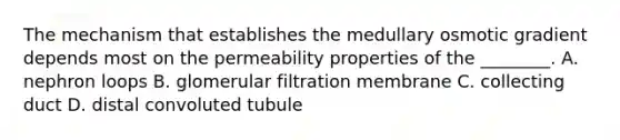 The mechanism that establishes the medullary osmotic gradient depends most on the permeability properties of the ________. A. nephron loops B. glomerular filtration membrane C. collecting duct D. distal convoluted tubule