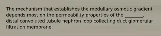 The mechanism that establishes the medullary osmotic gradient depends most on the permeability properties of the ________. distal convoluted tubule nephron loop collecting duct glomerular filtration membrane