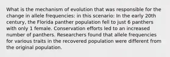 What is the mechanism of evolution that was responsible for the change in allele frequencies: in this scenario: In the early 20th century, the Florida panther population fell to just 6 panthers with only 1 female. Conservation efforts led to an increased number of panthers. Researchers found that allele frequencies for various traits in the recovered population were different from the original population.