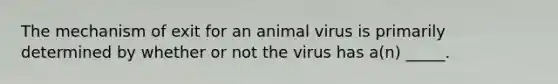 The mechanism of exit for an animal virus is primarily determined by whether or not the virus has a(n) _____.