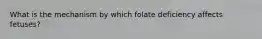 What is the mechanism by which folate deficiency affects fetuses?