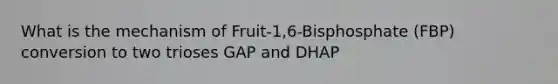 What is the mechanism of Fruit-1,6-Bisphosphate (FBP) conversion to two trioses GAP and DHAP