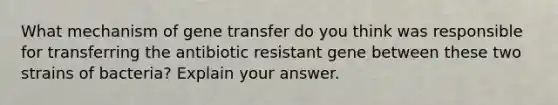 What mechanism of gene transfer do you think was responsible for transferring the antibiotic resistant gene between these two strains of bacteria? Explain your answer.