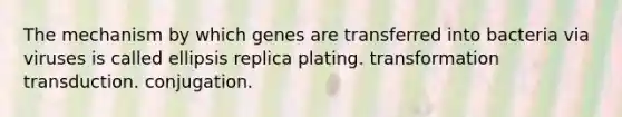 The mechanism by which genes are transferred into bacteria via viruses is called ellipsis replica plating. transformation transduction. conjugation.