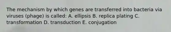 The mechanism by which genes are transferred into bacteria via viruses (phage) is called: A. ellipsis B. replica plating C. transformation D. transduction E. conjugation