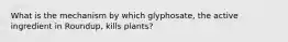 What is the mechanism by which glyphosate, the active ingredient in Roundup, kills plants?