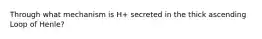 Through what mechanism is H+ secreted in the thick ascending Loop of Henle?