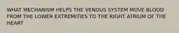 WHAT MECHANISM HELPS THE VENOUS SYSTEM MOVE BLOOD FROM THE LOWER EXTREMITIES TO THE RIGHT ATRIUM OF THE HEART