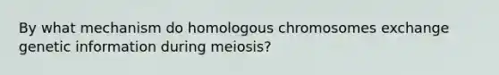 By what mechanism do homologous chromosomes exchange genetic information during meiosis?