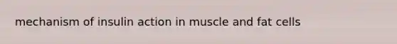 mechanism of insulin action in muscle and fat cells