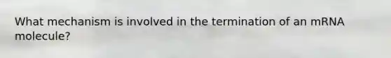 What mechanism is involved in the termination of an mRNA molecule?