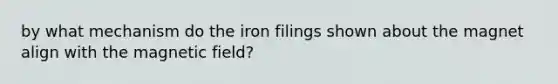 by what mechanism do the iron filings shown about the magnet align with the magnetic field?