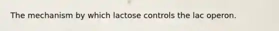 The mechanism by which lactose controls the lac operon.