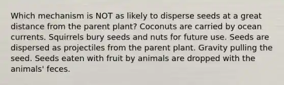 Which mechanism is NOT as likely to disperse seeds at a great distance from the parent plant? Coconuts are carried by ocean currents. Squirrels bury seeds and nuts for future use. Seeds are dispersed as projectiles from the parent plant. Gravity pulling the seed. Seeds eaten with fruit by animals are dropped with the animals' feces.