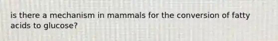 is there a mechanism in mammals for the conversion of fatty acids to glucose?