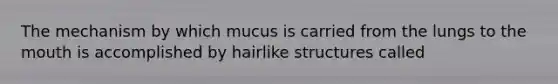 The mechanism by which mucus is carried from the lungs to the mouth is accomplished by hairlike structures called