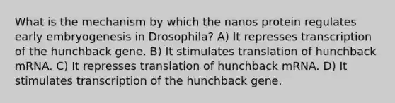 What is the mechanism by which the nanos protein regulates early embryogenesis in Drosophila? A) It represses transcription of the hunchback gene. B) It stimulates translation of hunchback mRNA. C) It represses translation of hunchback mRNA. D) It stimulates transcription of the hunchback gene.