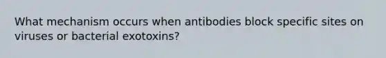 What mechanism occurs when antibodies block specific sites on viruses or bacterial exotoxins?