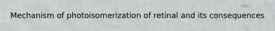 Mechanism of photoisomerization of retinal and its consequences