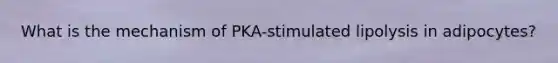 What is the mechanism of PKA-stimulated lipolysis in adipocytes?