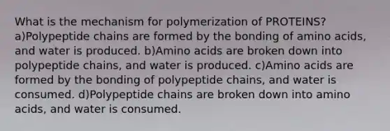 What is the mechanism for polymerization of PROTEINS? a)Polypeptide chains are formed by the bonding of amino acids, and water is produced. b)Amino acids are broken down into polypeptide chains, and water is produced. c)Amino acids are formed by the bonding of polypeptide chains, and water is consumed. d)Polypeptide chains are broken down into amino acids, and water is consumed.