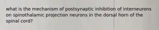 what is the mechanism of postsynaptic inhibition of interneurons on spinothalamic projection neurons in the dorsal horn of the spinal cord?