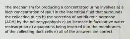 The mechanism for producing a concentrated urine involves a) a high concentration of NaCl in the interstitial fluid that surrounds the collecting ducts b) the secretion of antidiuretic hormone (ADH) by the neurohypophysis c) an increase in facultative water reabsorption d) aquaporins being inserted into the membranes of the collecting duct cells e) all of the answers are correct