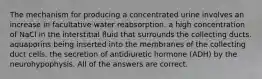 The mechanism for producing a concentrated urine involves an increase in facultative water reabsorption. a high concentration of NaCl in the interstitial fluid that surrounds the collecting ducts. aquaporins being inserted into the membranes of the collecting duct cells. the secretion of antidiuretic hormone (ADH) by the neurohypophysis. All of the answers are correct.