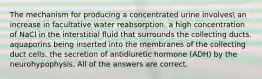 The mechanism for producing a concentrated urine involves an increase in facultative water reabsorption. a high concentration of NaCl in the interstitial fluid that surrounds the collecting ducts. aquaporins being inserted into the membranes of the collecting duct cells. the secretion of antidiuretic hormone (ADH) by the neurohypophysis. All of the answers are correct.