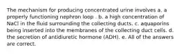 The mechanism for producing concentrated urine involves a. a properly functioning nephron loop . b. a high concentration of NaCl in the fluid surrounding the collecting ducts. c. aquaporins being inserted into the membranes of the collecting duct cells. d. the secretion of antidiuretic hormone (ADH). e. All of the answers are correct.