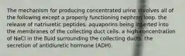 The mechanism for producing concentrated urine involves all of the following except a properly functioning nephron loop. the release of natriuretic peptides. aquaporins being inserted into the membranes of the collecting duct cells. a high concentration of NaCl in the fluid surrounding the collecting ducts. the secretion of antidiuretic hormone (ADH).