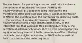 The mechanism for producing a concentrated urine involves a. the secretion of antidiuretic hormone (ADH) by the neurohypophysis. b. aquaporins being inserted into the membranes of the collecting duct cells. c. a high concentration of NACl in the interstitial fluid that surrounds the collecting ducts. d. the secretion of antidiuretic hormone (ADH) by the neurohypophysis and a high concentration of NACl in the interstitial fluid that surrounds the collecting ducts only e. the secretion of antidiuretic hormone (ADH) by the neurohypophysis, aquaporins being inserted into the membranes of the collecting duct cells, and a high concentration of NACl in the interstitial fluid that surrounds the collecting ducts