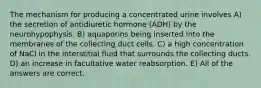 The mechanism for producing a concentrated urine involves A) the secretion of antidiuretic hormone (ADH) by the neurohypophysis. B) aquaporins being inserted into the membranes of the collecting duct cells. C) a high concentration of NaCl in the interstitial fluid that surrounds the collecting ducts. D) an increase in facultative water reabsorption. E) All of the answers are correct.