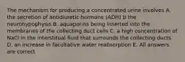 The mechanism for producing a concentrated urine involves A. the secretion of antidiuretic hormone (ADH) b the neurohypophysis B. aquaporins being inserted into the membranes of the collecting duct cells C. a high concentration of NaCl in the interstitual fluid that surrounds the collecting ducts D. an increase in facultative water reabsorption E. All answers are correct