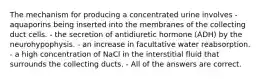 The mechanism for producing a concentrated urine involves - aquaporins being inserted into the membranes of the collecting duct cells. - the secretion of antidiuretic hormone (ADH) by the neurohypophysis. - an increase in facultative water reabsorption. - a high concentration of NaCl in the interstitial fluid that surrounds the collecting ducts. - All of the answers are correct.